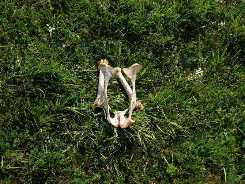 in alta quota nei miei Sibillini